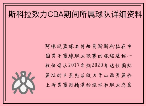 斯科拉效力CBA期间所属球队详细资料
